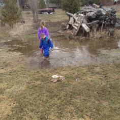 Abby and Aiden checking out a puddle Mama and Papa's yard