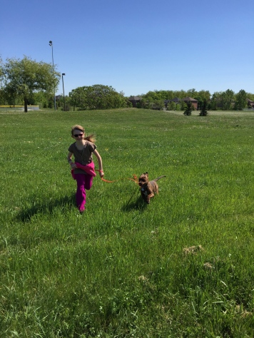 Marley running in the park with Abby.