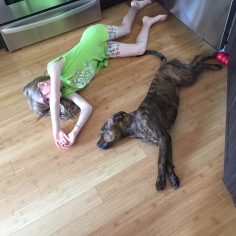 Abby resting with Marley in the kitchen.
