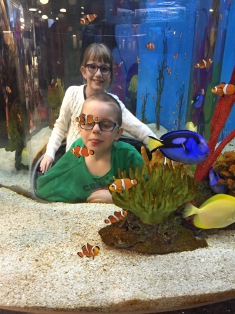 Abby & Aiden found Dory & Nemo!!!