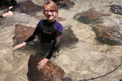 Abby in the water petting the Stingrays