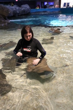 Melissa in the water petting the Stingrays